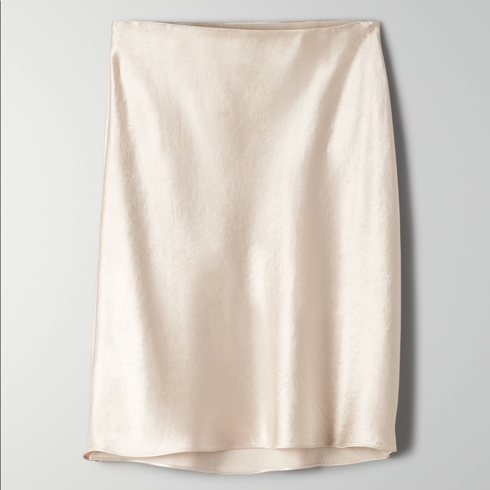 Aritzia Babaton Mini Slip Skirt